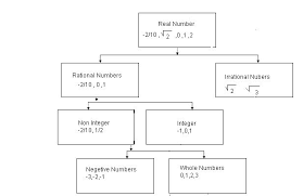 18 Conclusive Type Of Numbers Chart