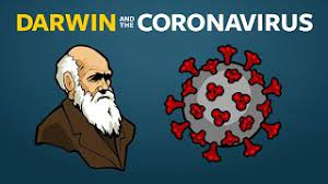 Jul 09, 2021 · answer 1 of 19: Where Do New Viruses Come From Youtube