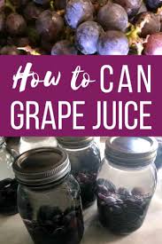 Canned fruit is a pantry classic, and canned peaches are my favorite, so that is what i if peaches are no longer in season in your area, you can apply the same steps to other fruits as likewise, it's also ok to use fruit juice with no added water. How To Can Grape Juice A Step By Step Guide Chasing Vibrance