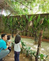 Yang nak bercuti di penang, boleh semak semua senarai tempat menarik di penang & tempat makan best dan sedap di pulau pinang yang kami dah susun cantikkkkk.untuk anda. Tempat Menarik Di Penang Yang Terkini 2021 Paling Cantik