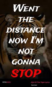 Survivor Eye Of The Tiger Lyrics And Quotes Rising Up Straight To The Top Had The Guts Got The Glory Went The Distance Now Tiger Quotes Lyrics Tiger Eye