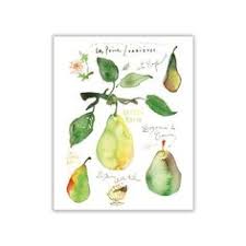 28 Best Pear Varieties Images Pear Varieties Pear Fruit