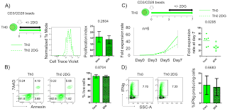 Inhibits phosphorylation of glucose by hexokinase; Plos One Differential Effects Of 2 Deoxy D Glucose On In Vitro Expanded Human Regulatory T Cell Subsets