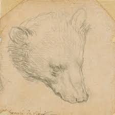 Collection by chadonai • last updated 5 weeks ago. Leonardo Da Vinci S Bear Pawtrait Could Make Record For Drawing By The Artist The Art Newspaper