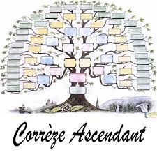 Pour en visualiser l'avancement et pour le montrer à vos proches. Correze Arbre Genealogique 7 Generations A Remplir Geneaprime