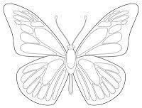 The best selection of royalty free butterfly black and white vector art, graphics and stock illustrations. Free Butterfly Printable Beautiful Black And White Printable Students Can Use To Create Their O Butterfly Outline Butterfly Coloring Page Butterfly Printable
