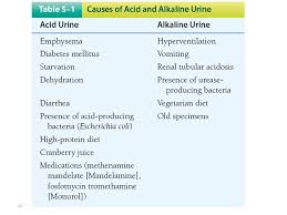 We did not find results for: Ch4 Chemical Examination Of Urine Saida Almashharawi Urinalysis Body Fluids Cls Ppt Download