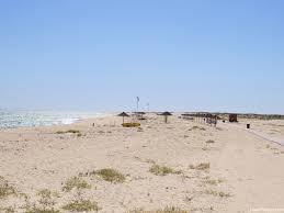 Vá prevenido pois aqui não vai encontrar restaurantes ou beach clubs. Ilha Deserta Natureza E Praia Quase Exclusiva No Algarve Likedplaces