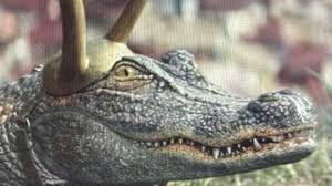 The alligator loki is a computer generated character in the show, but director kate herron said that a herron also discussed what went into the design of alligator loki. Here S The Real Story Behind Alligator Loki