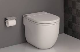 basin and toilet in one single piece