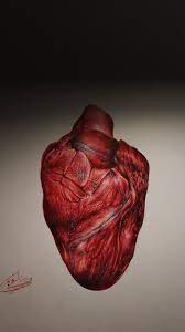 draw heart رسم قلب artist
