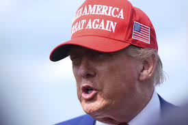 Peter Alfieri (@peter_alfieri_1)