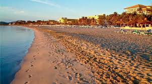 We did not find results for: Traumstrande Auf Rhodos Die Besten Strande Der Griechischen Insel