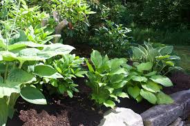 Based in southwest minneapolis, sticks & stones design, inc. Sticks Stones Landscaping Home