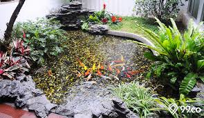 Kolam yang bersih dan terawat akan membuat ikan koi yang anda miliki lebih sehat dan tidak mudah terserang penyakit. Cara Membuat Kolam Ikan Koi Minimalis Di Rumah Panduan Lengkap