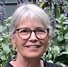 Amazon.com: Second Lives: The Journey of Brain-Injury Survivors and Their  Healers eBook : Lilly, Ralph B., Kramer, Diane F., Lilly, Joyce Stamp: Books