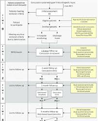 a flow chart of study procedures on 25 february 2019 by