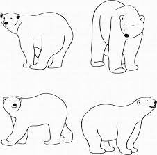 Polar Bear Svg Eps Png Dxf Clipart For Cricut And Etsy Polar Bear Art Polar Bear Drawing Bear Template