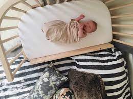 Babybay Bedside Sleeper Bedside Sleeper Baby Cribs Sleeper