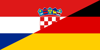 Image result for Glebionis carinata `German Flag`