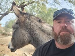 Donkey for sale! Let me know if you're interested! He's a herd protector!