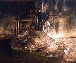 Discover the magic of the internet at imgur, a community powered entertainment destination. How The Chernobyl Nuclear Plant Meltdown Formed World S Most Dangerous Lava