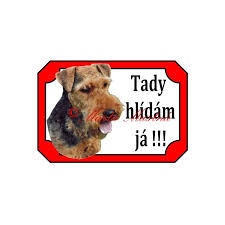 Image result for velšteriér