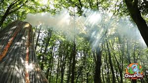 Programul de vizitare dino parc rasnov este de luni pana duminica, intre 09.30 si 20.00. Dino Parc Rasnov Home Facebook