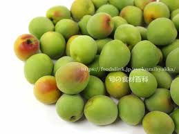 FoodsLink.jp フーズリンク