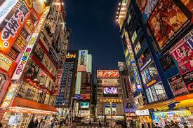 Akihabara online introduces you the shops in akihabara. Akihabara Tokyo Japan Deluxe Tours