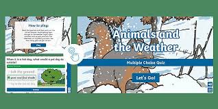 Oct 02, 2020 · here is a set of printable trivia questions with multiple choice answers about many common and popular trends, topics, cultures, and general knowledge. Animals And The Weather Quiz