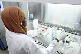 Tests für zu hause gibt es mittlerweile ganz einfach bei der. Cheap And Easy 1 Coronavirus Test To Undergo Trials In Senegal New Scientist