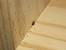 Carpet Beetle Larvae Nest