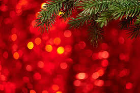 There is nothing worse than a christmas tree photo taken with your flash, yuck! Christmas Photography Nyip Photo Articles