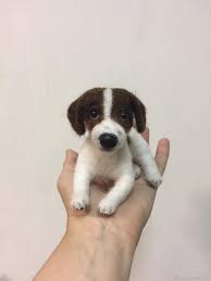 Мини Джек рассел терьер щенок, мини копия по фото домашнего любимца –  заказать на Ярмарке Мастеров – P1ND6BY | Игрушки для животных, Москва