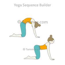 Slowly relax and yield to the effects of gravity. Cat Cow Pose Yoga Bitilasana Marjaryasana Yoga Sequences Benefits Variations And Sanskrit Pronunciation Tummee Com