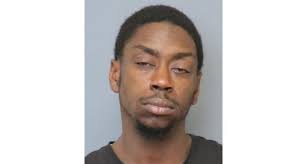 Officers Apprehend Suspect In Theft From Auto Case