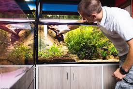 Are resin ornaments safe for aquarium. Aquarium Safe Epoxy Learn How To Use Resin For Your Aquarium