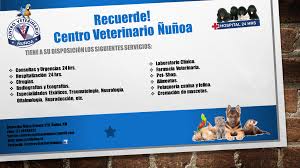 Centro veterinario ñuñoa