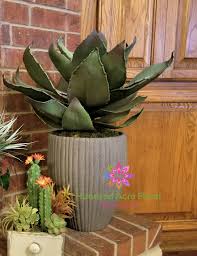 See more ideas about flower pots, planters, front door planters. 40 Best Front Door Flower Pots Ideas And Designs For 2021