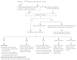 Laceration Repair A Practical Approach American Family