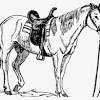 Cowboy horse cowboy art horse drawings art drawings west art cow girl country art equine art. 1