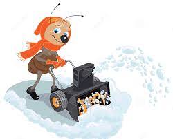 How much do ant exterminators cost? Carpenter Ant Pest Control In The Winter Enviropest Solutions