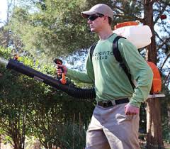 It is the county seat of vilas county. Eagle River Mosquito Control Mosquito Squad Of Northcentral Wisconsin