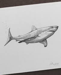 85 Simple And Easy Pencil Drawings Of Animals For Every Beginner Animal Drawings Art Drawings Pencil Drawings Of Animals