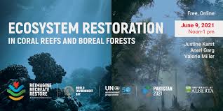 At the external border 14 offenders were detected: World Environment Day Ecosystem Restoration In Coral Reefs And Boreal Forests Events