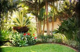 Image Detail For Coorparoo Tropical Landscape Design Brisbane Brisbane Coorparoo Tropical Landscape Design Tropical Garden Design Palm Trees Landscaping