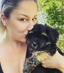 Rasberry Havanese (@rasberryhavanese) • Facebook