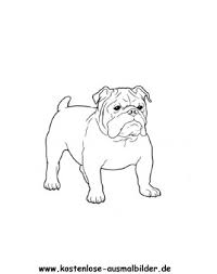Ausmalbild Bulldogge Ausmalbilder Hunde Hund Zeichnen Bulldogge