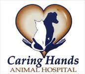 At critter doctor animal hospital in kirkland, wa, our veterinarians and our medical staff recommend regular veterinary wellness examinations for the same reason that. Veterinarian In Las Vegas Nv Caring Hands Animal Hospital